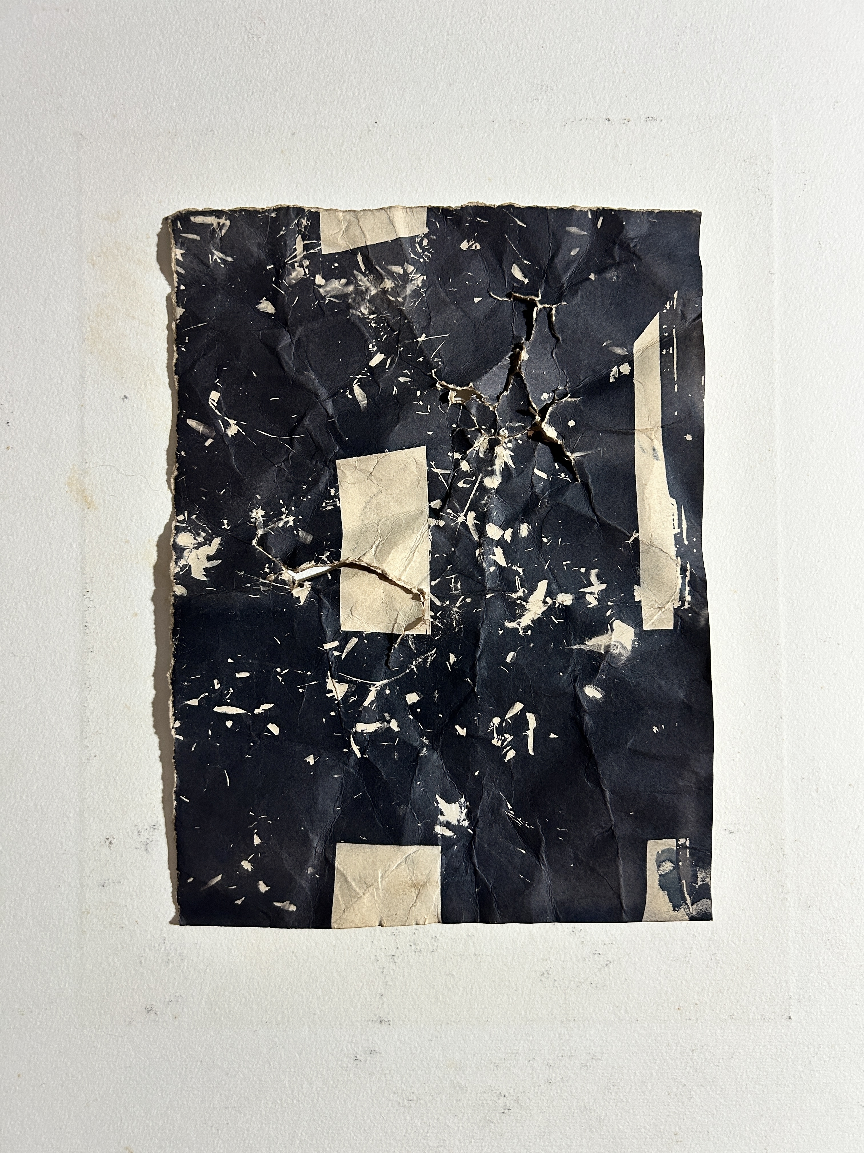 Cyanotype by Roberta Di Fiore
