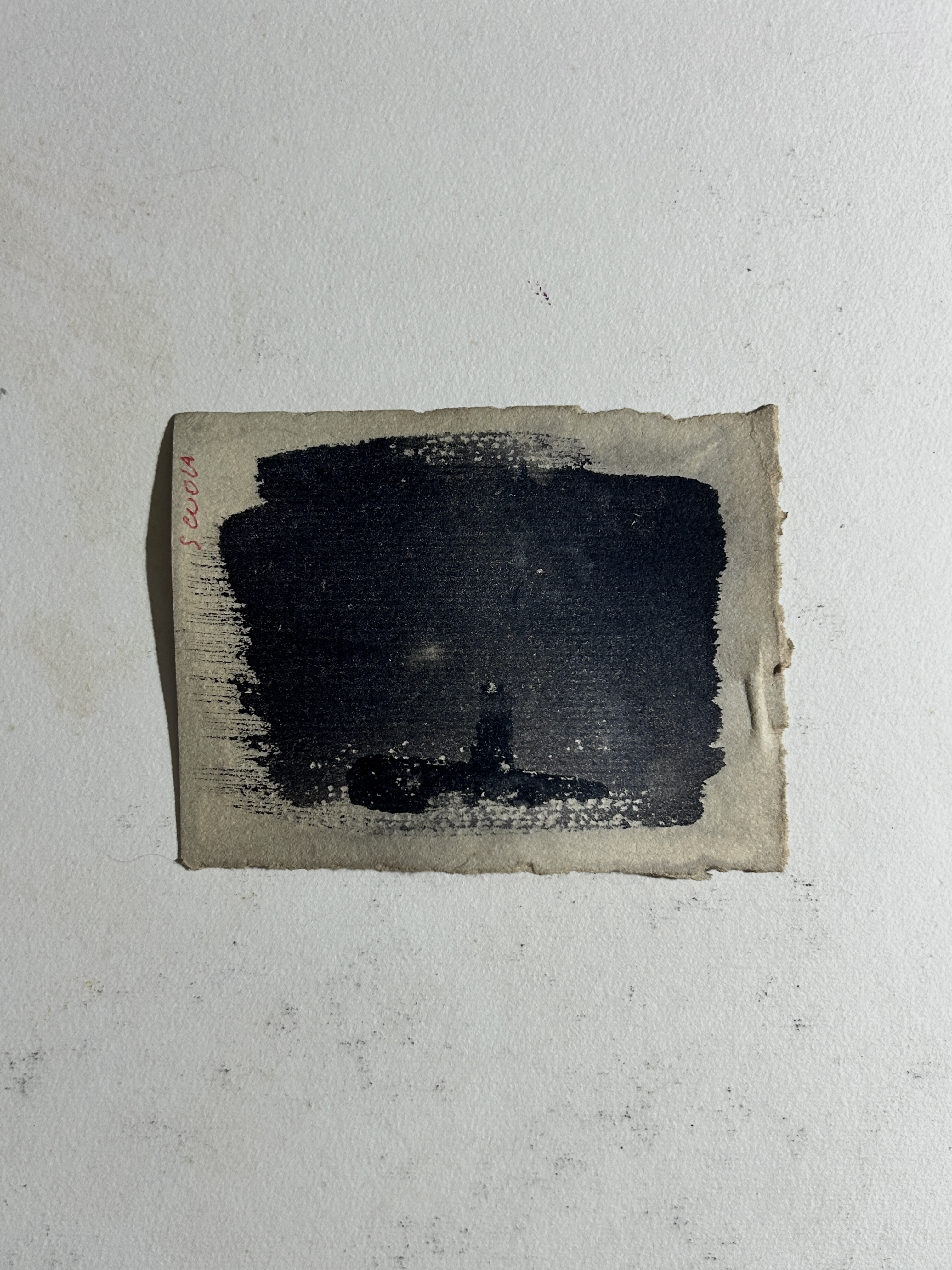 Cyanotype by Roberta Di Fiore