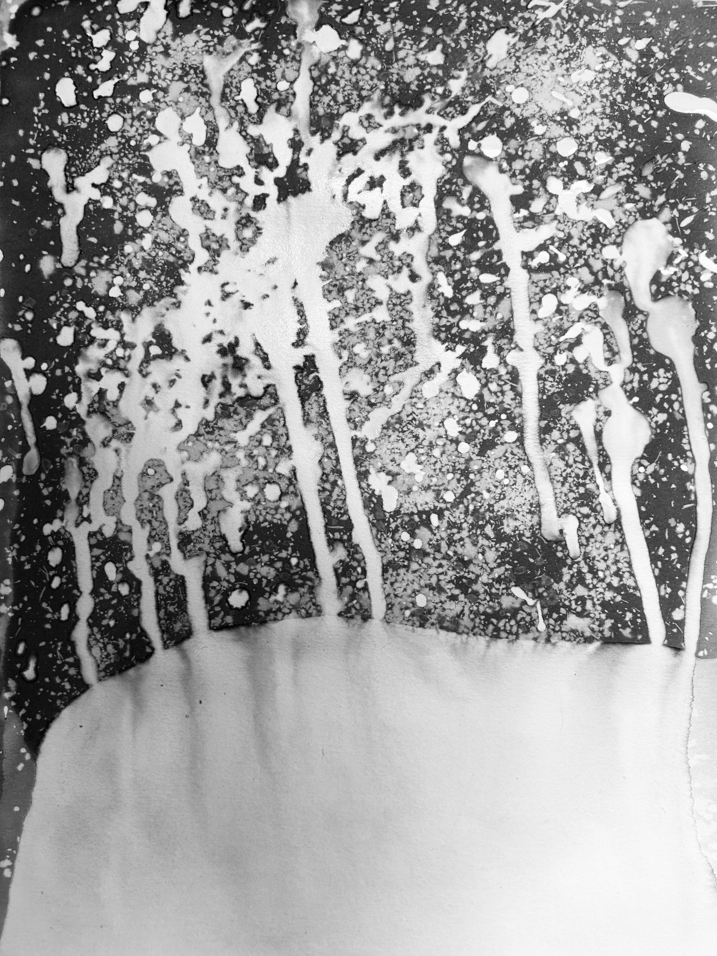 Cyanotype by Roberta Di Fiore