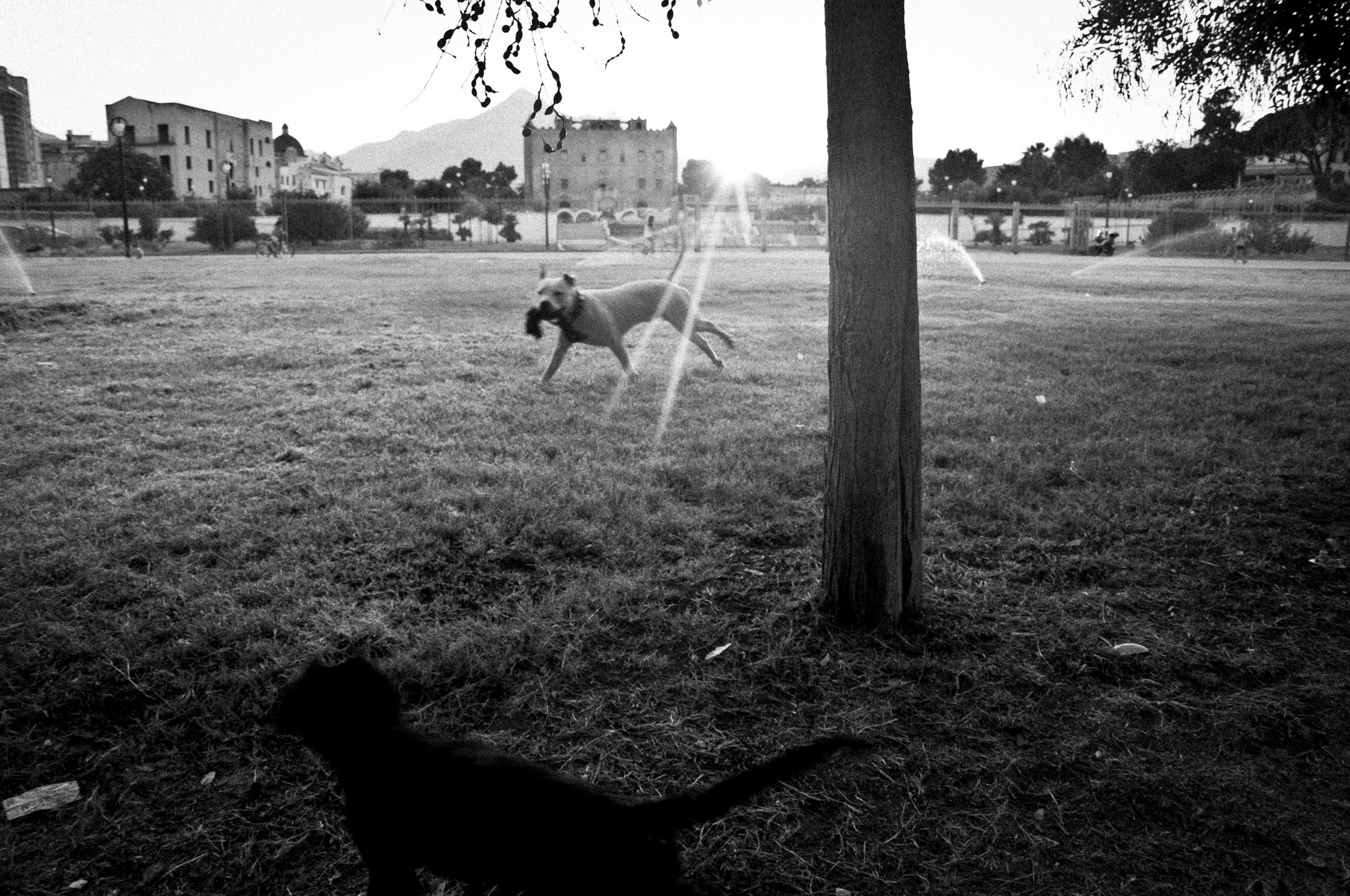 Photography by Roberta Di Fiore