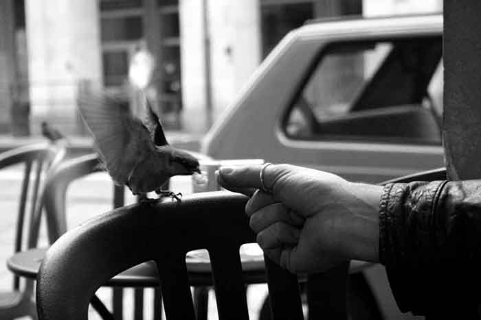 Photography by Roberta Di Fiore