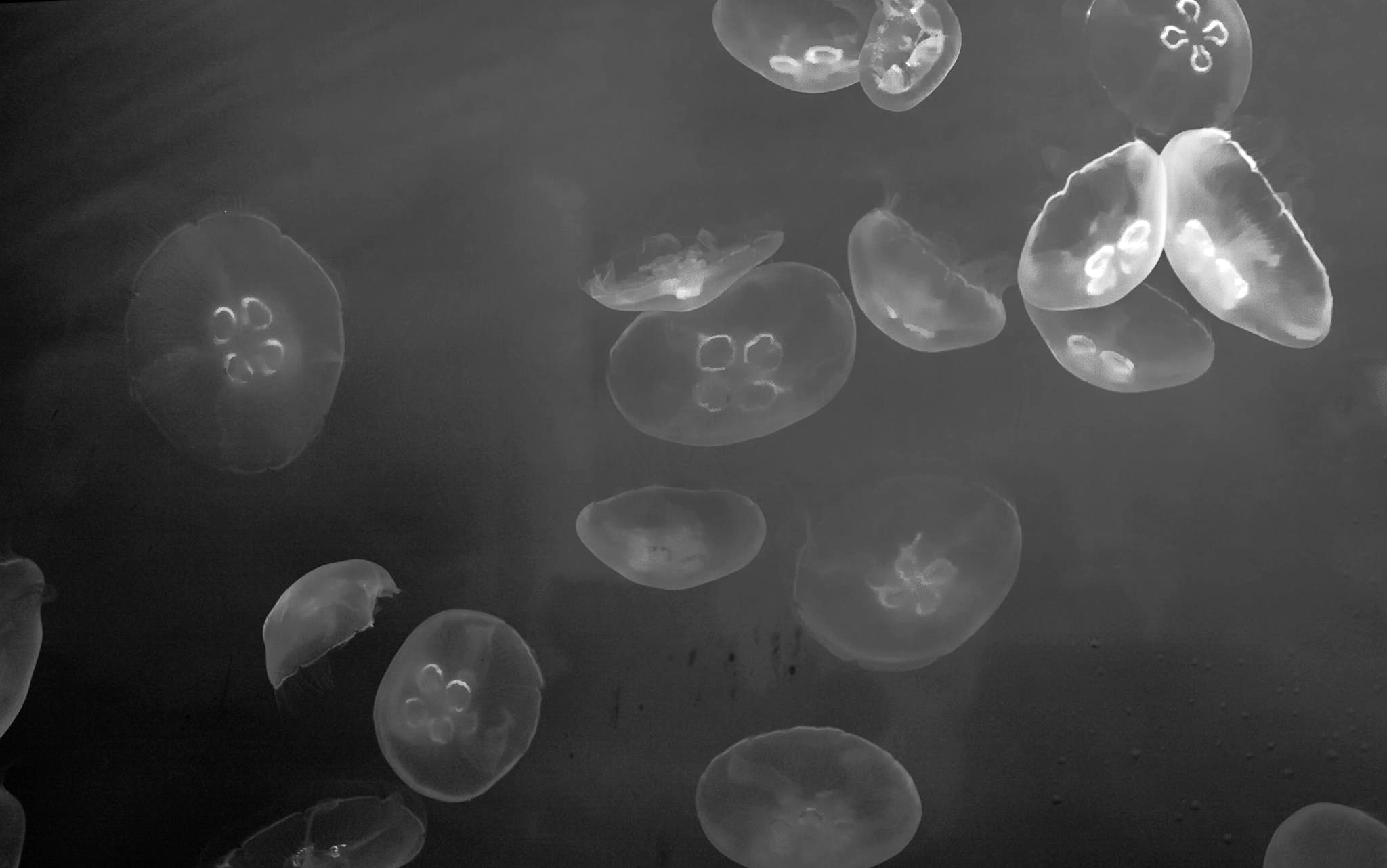 Photography by Roberta Di Fiore